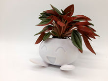 Lade das Bild in den Galerie-Viewer, 3D-Druck Myrapla Pokémon Blumentopf in verschiedenen Farben
